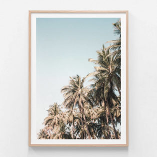 Palm-Cluster-Oak-Framed-Print