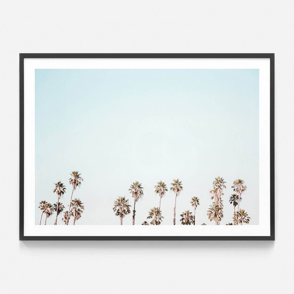 Palm Tops Framed Print or Canvas Wall Art 41 Orchard
