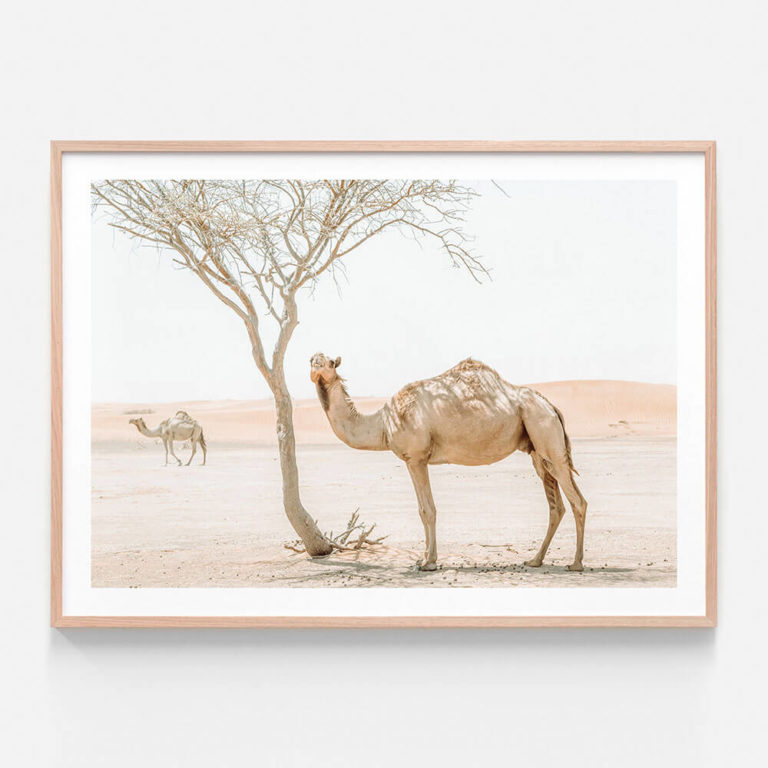 Shaded-Camel-Oak-Framed-Print