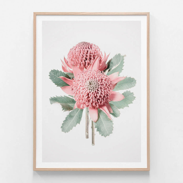 Twin-Proteas-Oak-Framed-Print