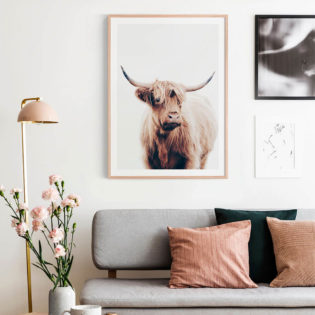 Angus Highland Cow Framed Print Lifestyle