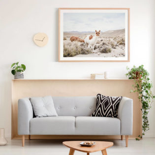 Curious Llama Oak Framed Print Lifestyle