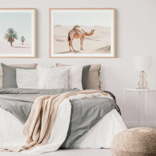Lone Camel Moroccan Framed Print Lifestyle