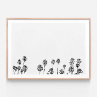 APP146-Palm-Tops-B&W-Oak-Framed-Print