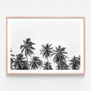 APP329-Hawaii-Palms-BW-Oak-Framed-Print