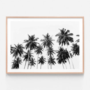 APP351-Coconut-Sky-Oak-Framed-Print