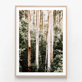 APP603-Bush-Foliage-Oak-Framed-Print