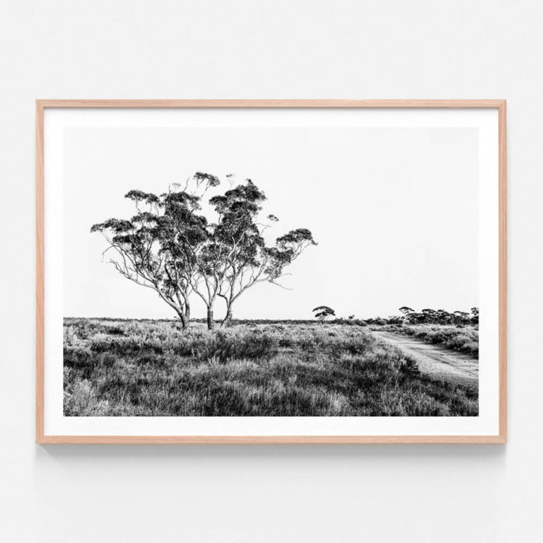 APP613BW-Outback-Road-Oak-Framed-Print