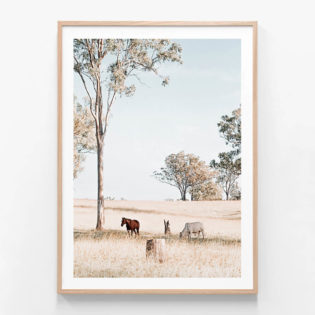 APP625-Australian-Landscape-Oak-Framed-Print