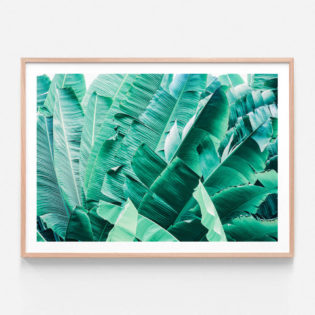 APP628-Lush-Tropics-Oak-Framed-Print