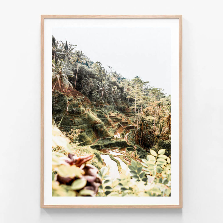 APP631-Ubud-Terraces-Oak-Framed-Print