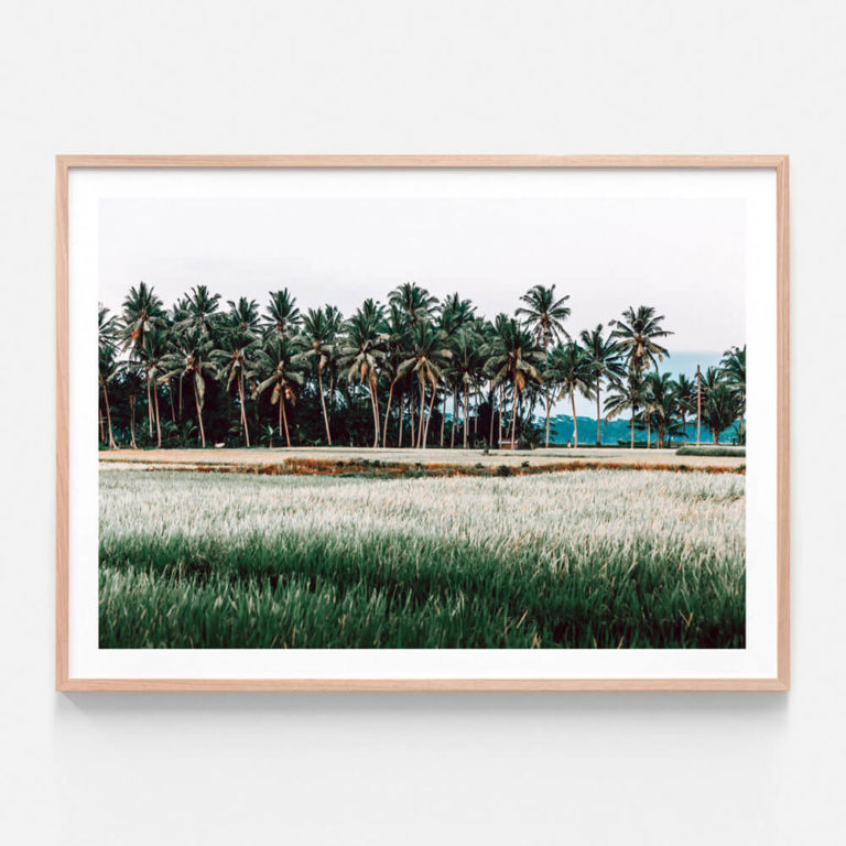 APP632-Bali-Fields-Oak-Framed-Print