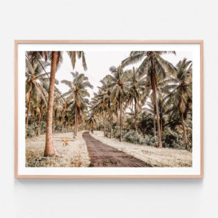 APP633-Island-Road-Oak-Framed-Print