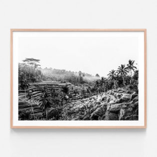 APP635-Ubud-At-Sunrise-Oak-Framed-Print