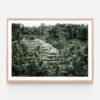 APP636-Lush-Terraces-Oak-Framed-Print