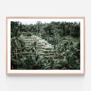 APP636-Lush-Terraces-Oak-Framed-Print