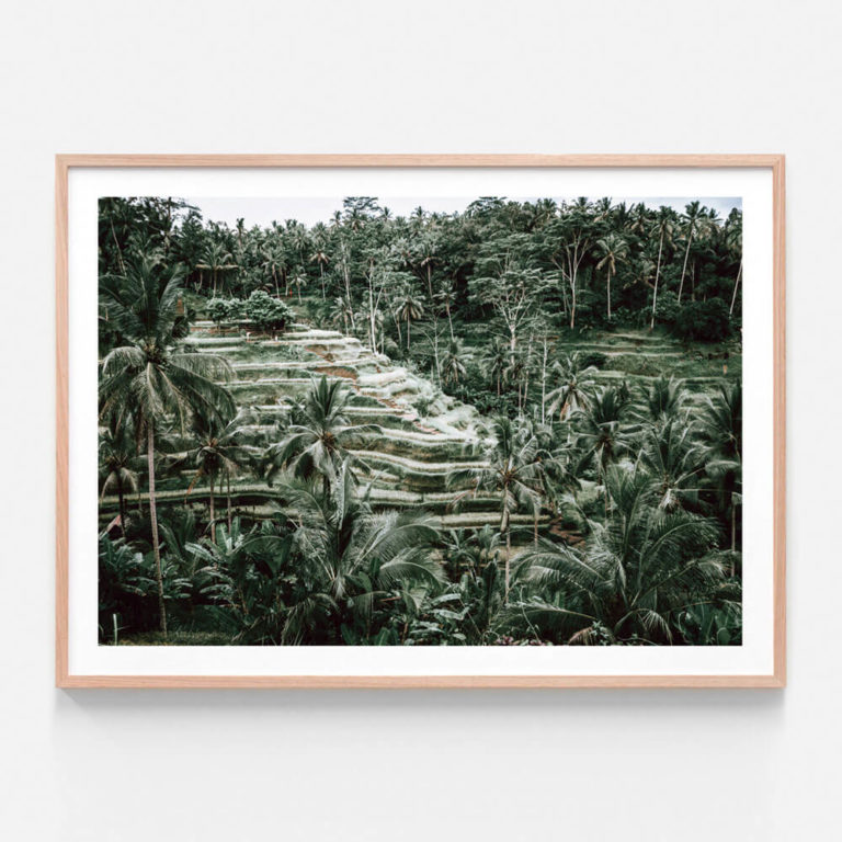 APP636-Lush-Terraces-Oak-Framed-Print