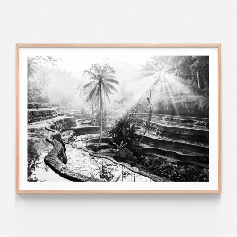 APP637-Jungle-Sunrise-Oak-Framed-Print