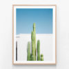 APP673-San-Pedro-Oak-Framed-Print