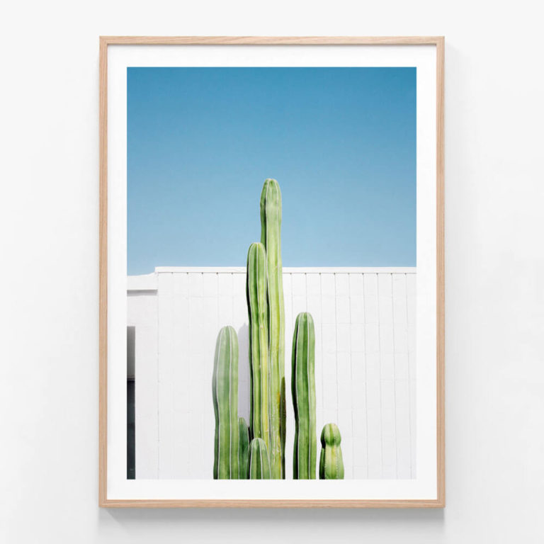 APP673-San-Pedro-Oak-Framed-Print