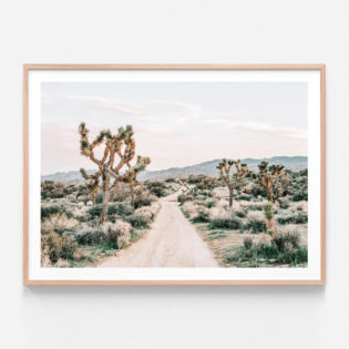 APP678-Rimrock-Mountains-Oak-Framed-Print