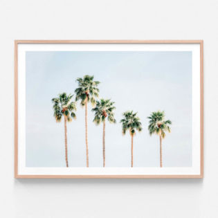 APP682-Palm-Springs-Sky-Oak-Framed-Print