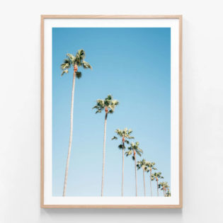 APP683-Newport-Sky-Oak-Framed-Print