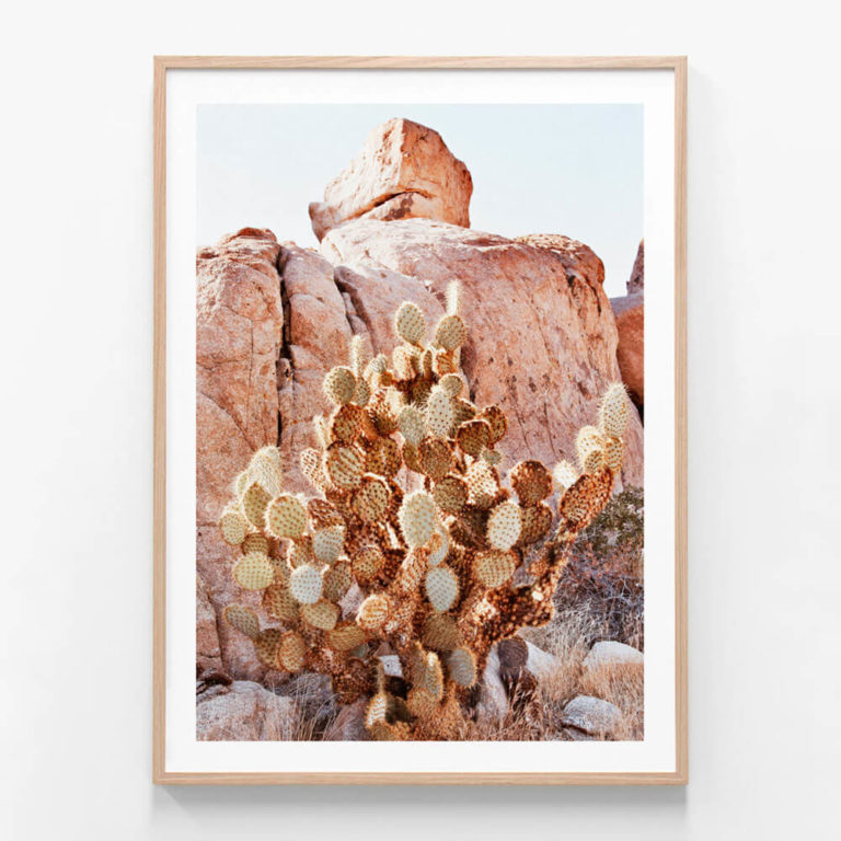 APP684-Hidden-Valley-Oak-Framed-Print