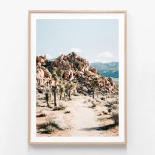 APP690-Rock-Trail-Oak-Framed-Print