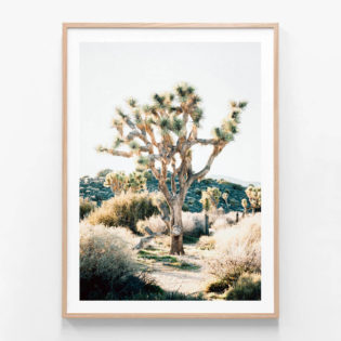 APP691-Eagle-Mountain-Oak-Framed-Print