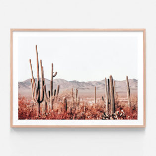 APP692-Cacti-Wilderness-Oak-Framed-Print