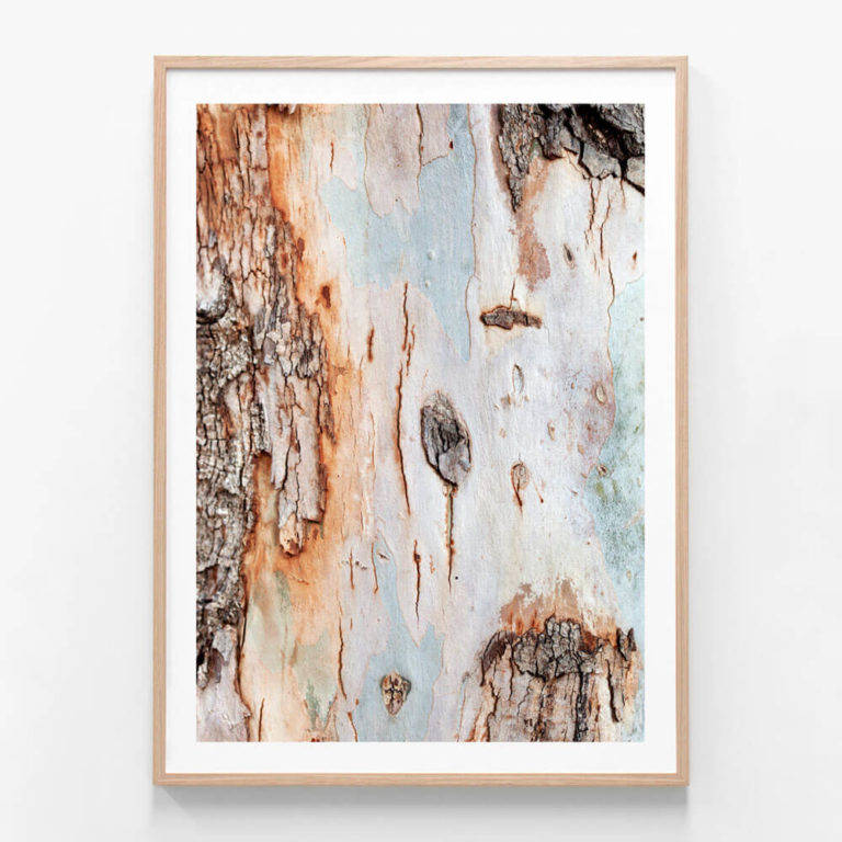APP720-Eucalyptus-Bark-Oak-Framed-Print