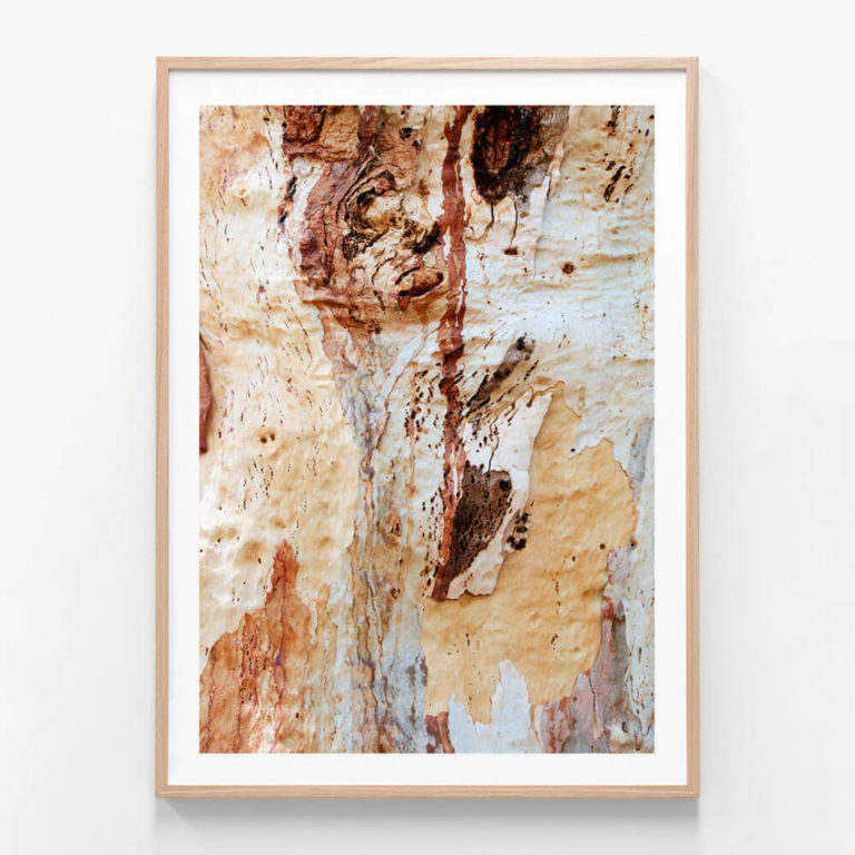 APP723-Gum-Bark-Oak-Framed-Print