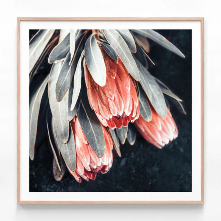 APP724S-Dark-Buds-Oak-Framed-Print