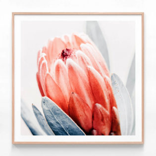 APP726S-Light-Buds-Oak-Framed-Print