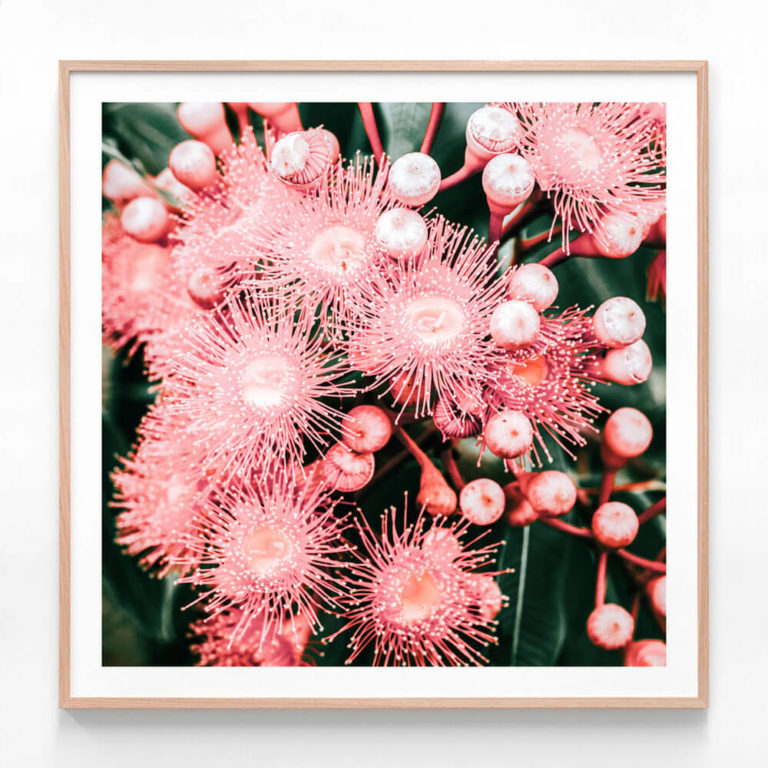 APP730S-Bush-Florals-Oak-Framed-Print