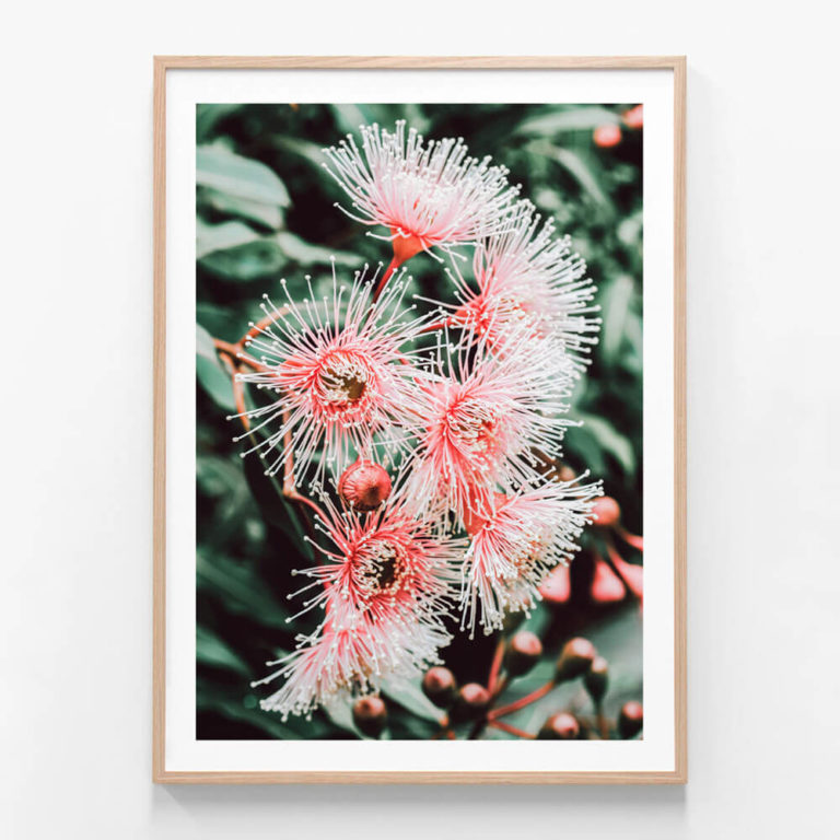 APP732-Native-Beauty-Oak-Framed-Print