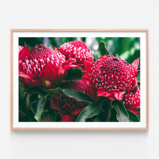 APP735-Madeira-Florals-Oak-Framed-Print