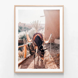 APP863-Moroccan-Taxi-Oak-Framed-Print