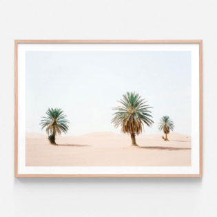 FP498-Sandy-Palms-Oak-Framed-Print