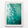 FP532-Open-Water-Oak-Framed-Print
