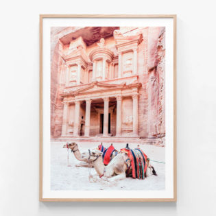 FP541-Camels-of-Petra-Oak-Framed-Print