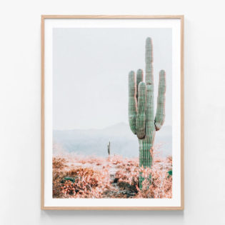 FP549-Sonoran-Cacti-Oak-Framed-Print