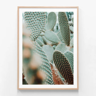 FP550-Prickly-Pear-Oak-Framed-Print
