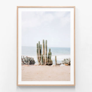 FP552-Ocean-Cacti-Oak-Framed-Print