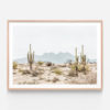 FP553-Four-Peaks-Saguaros-Oak-Framed-Print