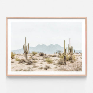 FP553-Four-Peaks-Saguaros-Oak-Framed-Print