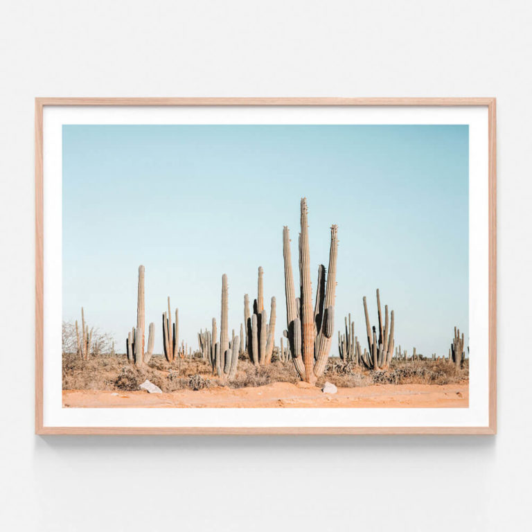 FP555-Saguaro-Mexicano-Oak-Framed-Print
