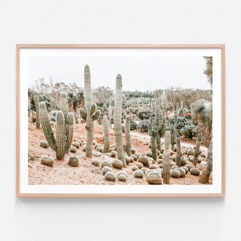 FP562-Cacti-Garden-Oak-Framed-Print