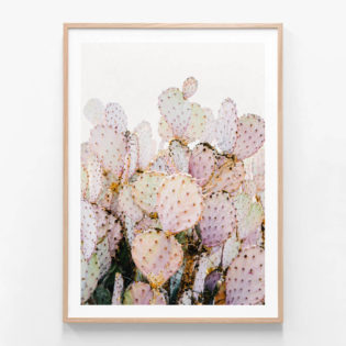 FP573-Prickly-Pink-Oak-Framed-Print